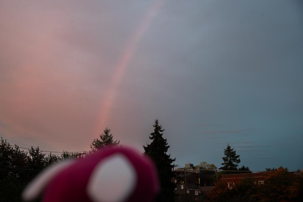 Eggbug gazing at a rainbow